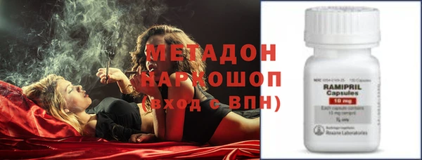 стафф Кодинск