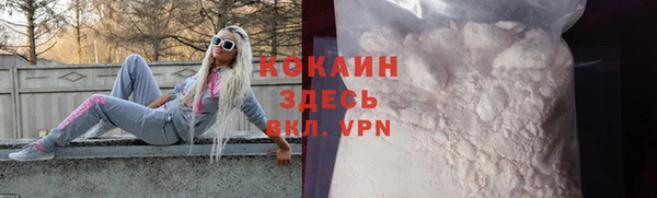 стафф Кодинск
