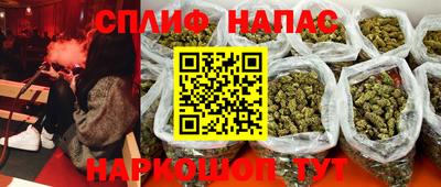 прущие грибы Заводоуковск