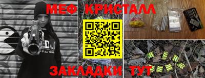 прущие грибы Заводоуковск