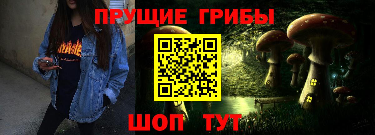 Псилоцибиновые грибы Psilocybe Кохма