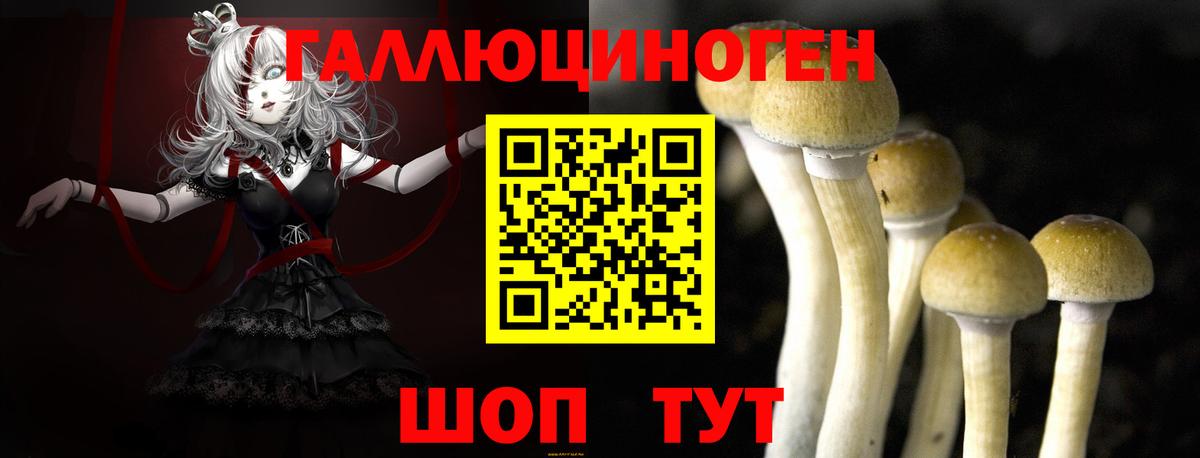 Галлюциногенные грибы Cubensis  Вход с VPN  Кохма 