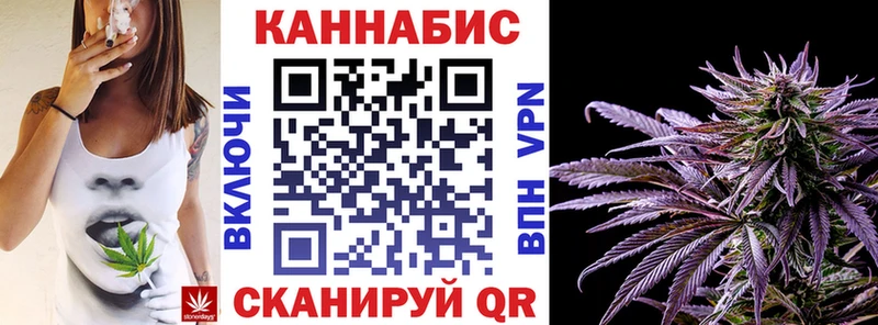купить наркотики цена  Кохма  блэк спрут   Бошки марихуана план 